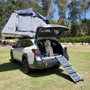 2022 Subaru Outback heads into the Wilderness