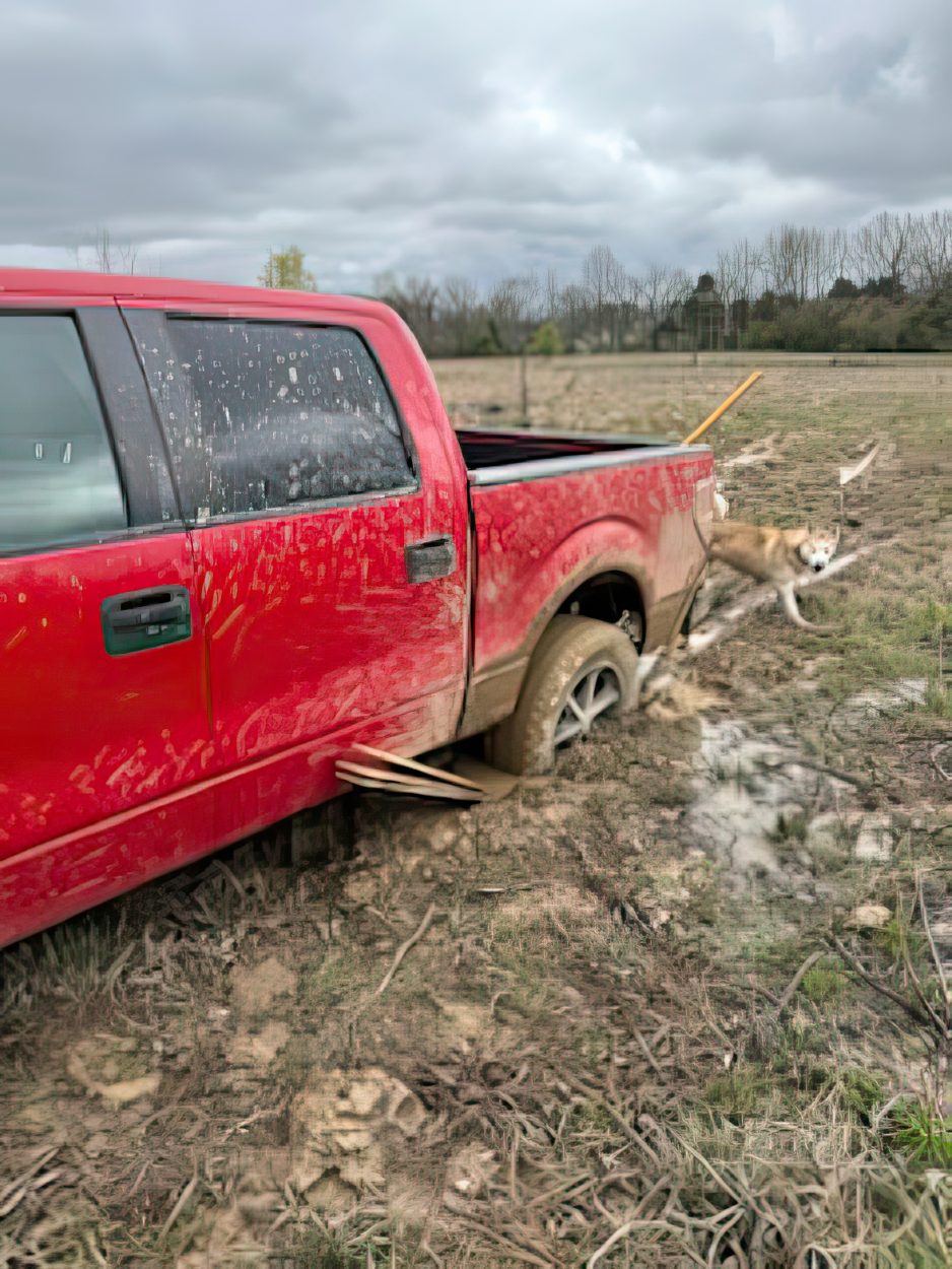 ford f150 stuck in mud in Tennessee