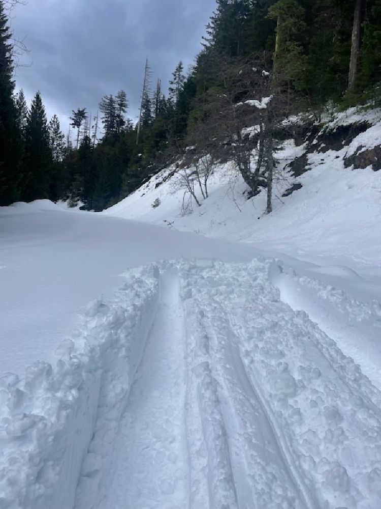trail covered in snow