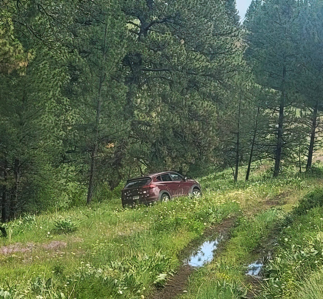 oregon offroad recovery