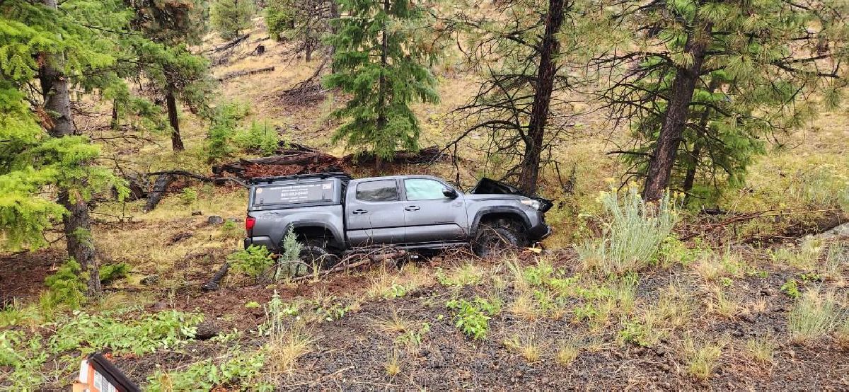 tacoma crashed on tree