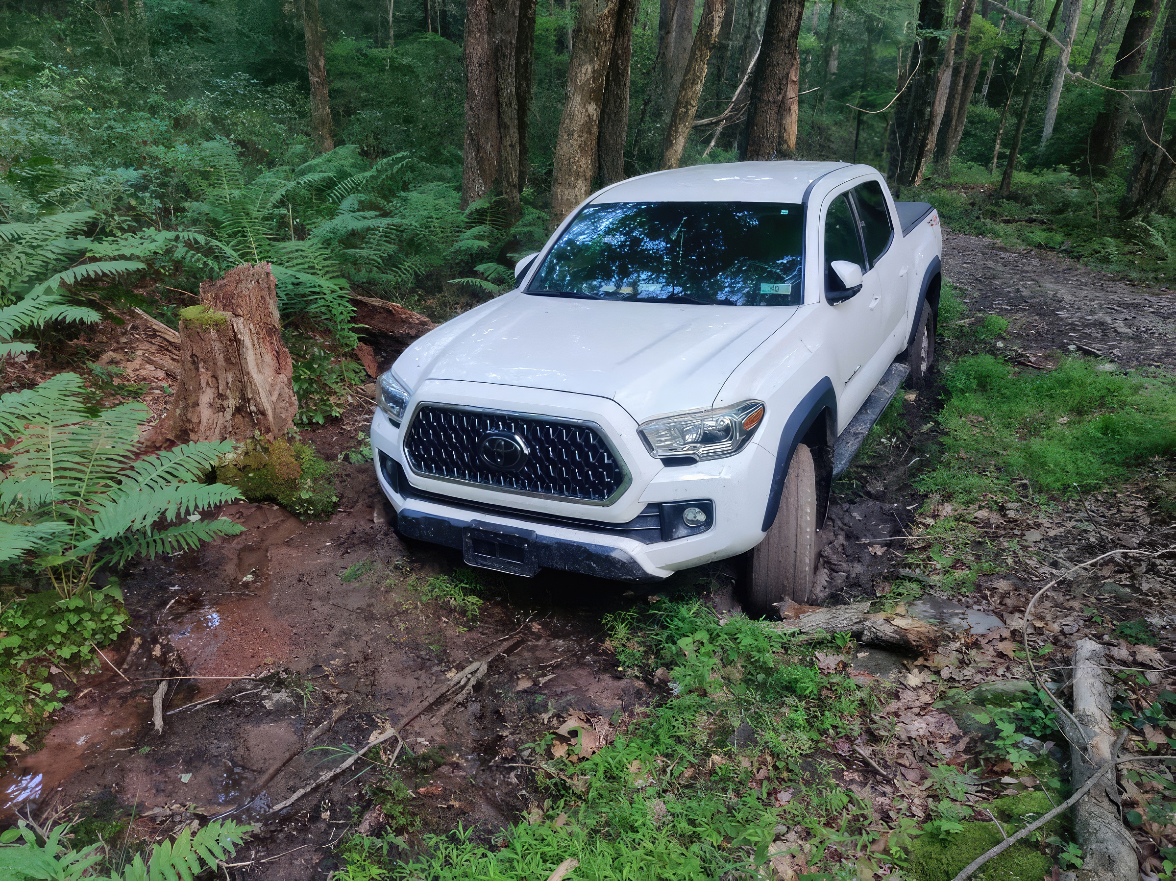 Pennsylvania 4x4 rescue