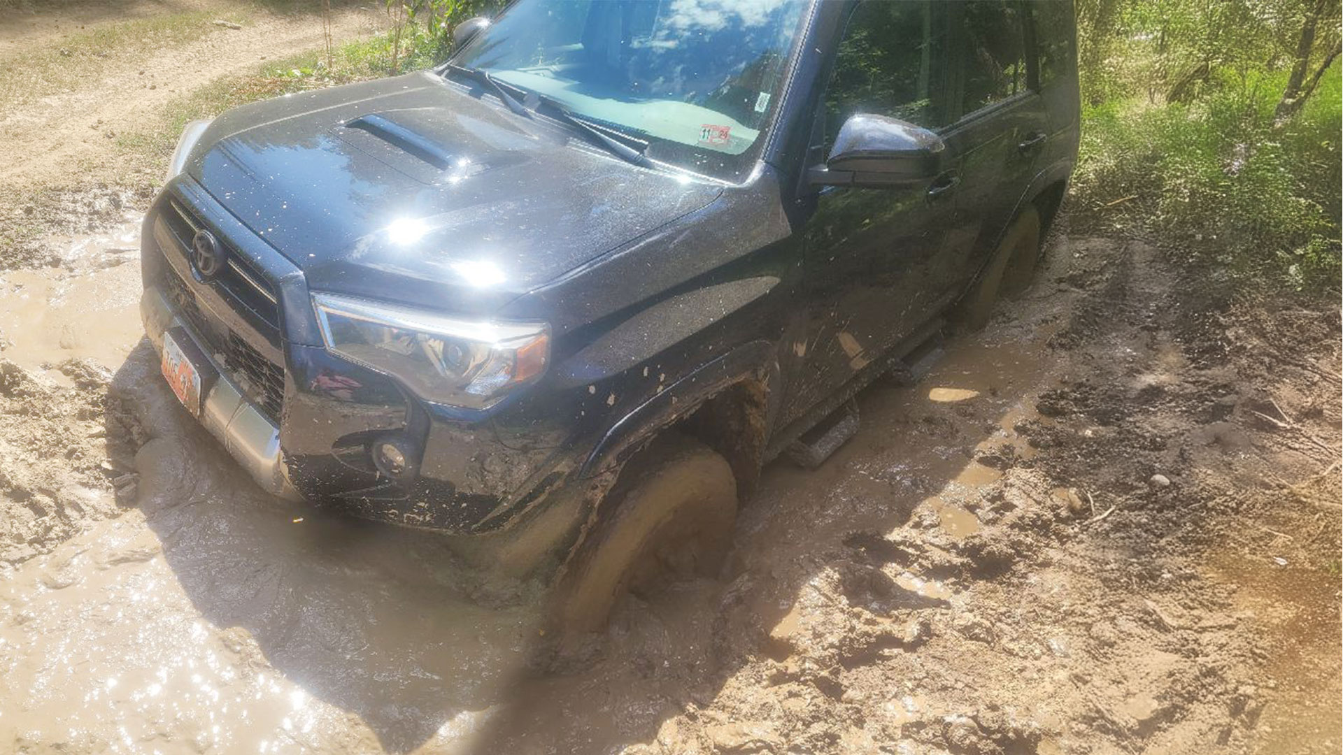 Truck is stuck in about 2 feet of mud