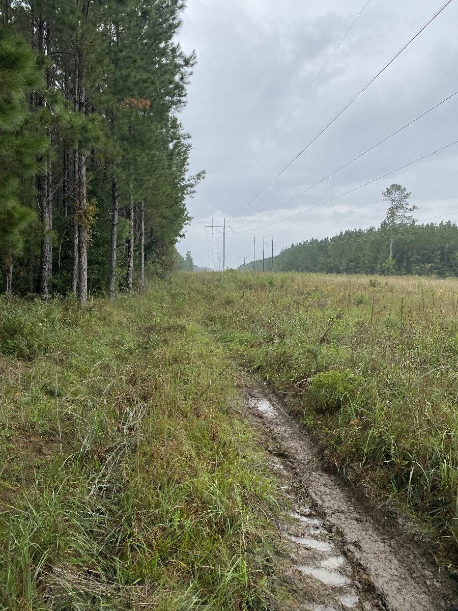 offroad recovery in Georgia 4x4 rescue