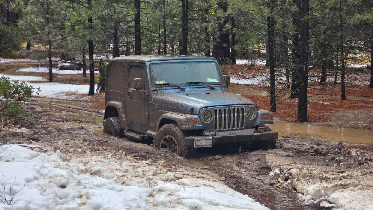 Stuck in mud near Juanita Lake