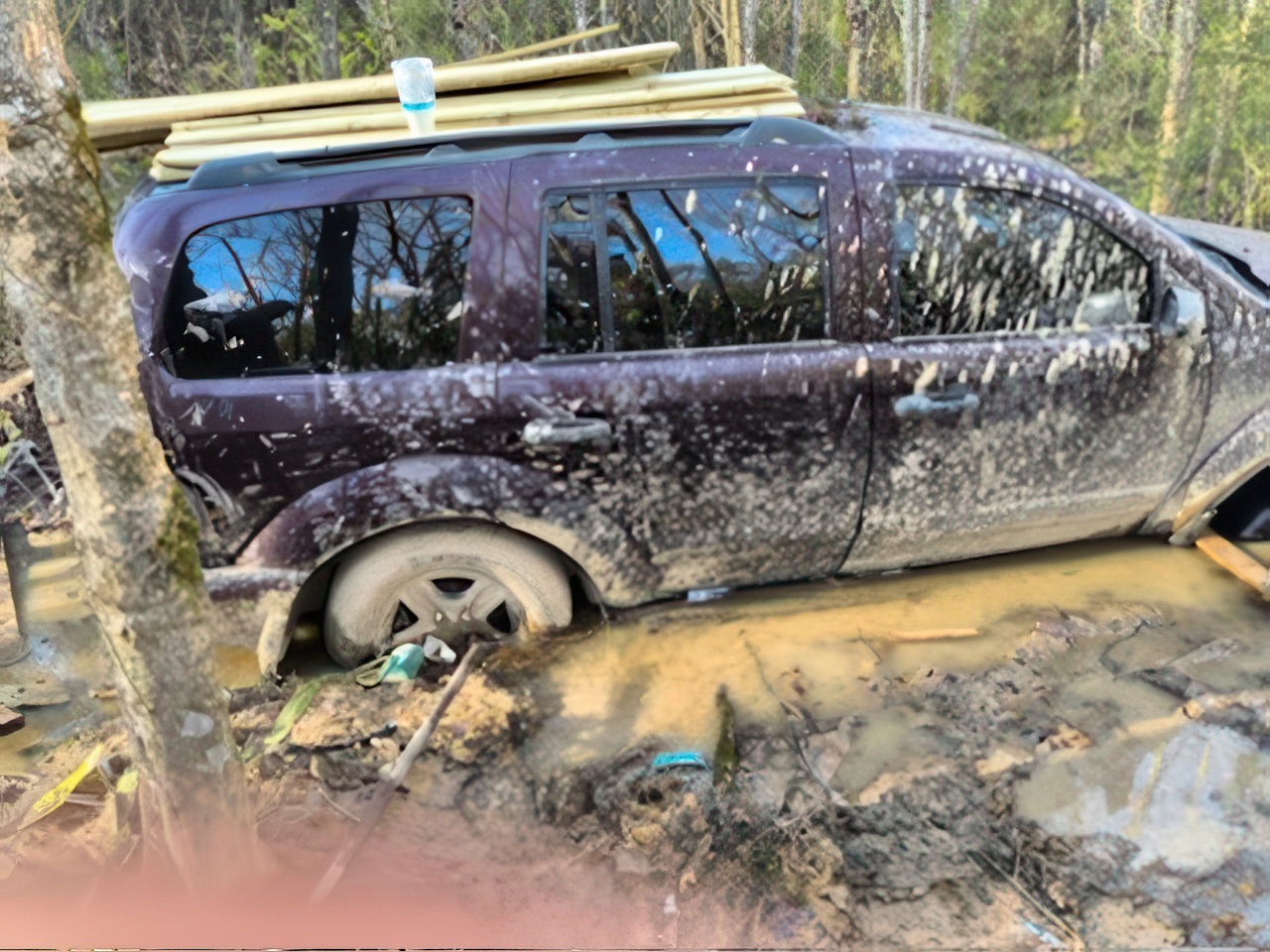 alabama muddy recovery
