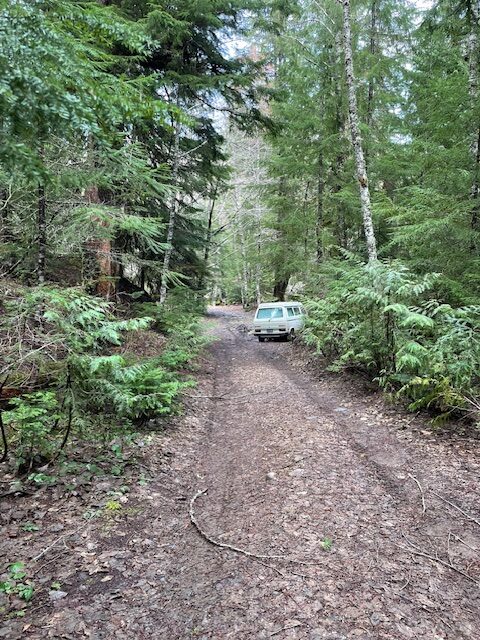 WORN, Washington 4x4 rescue