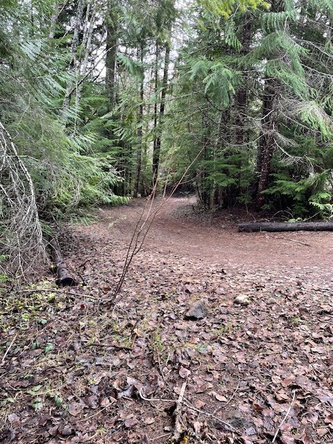 offroad recovery in Washington