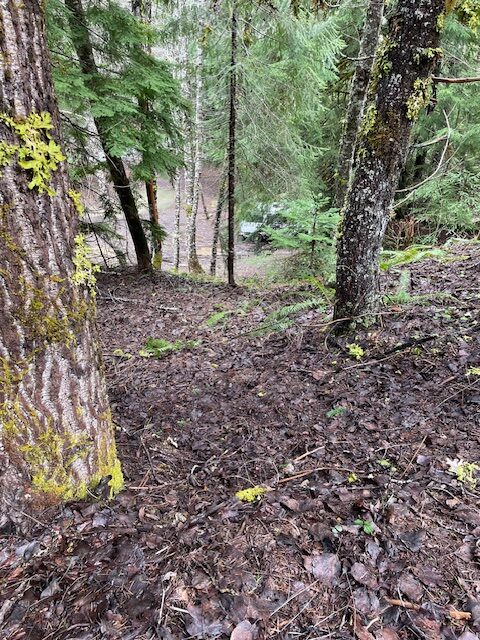 washington offroad recovery