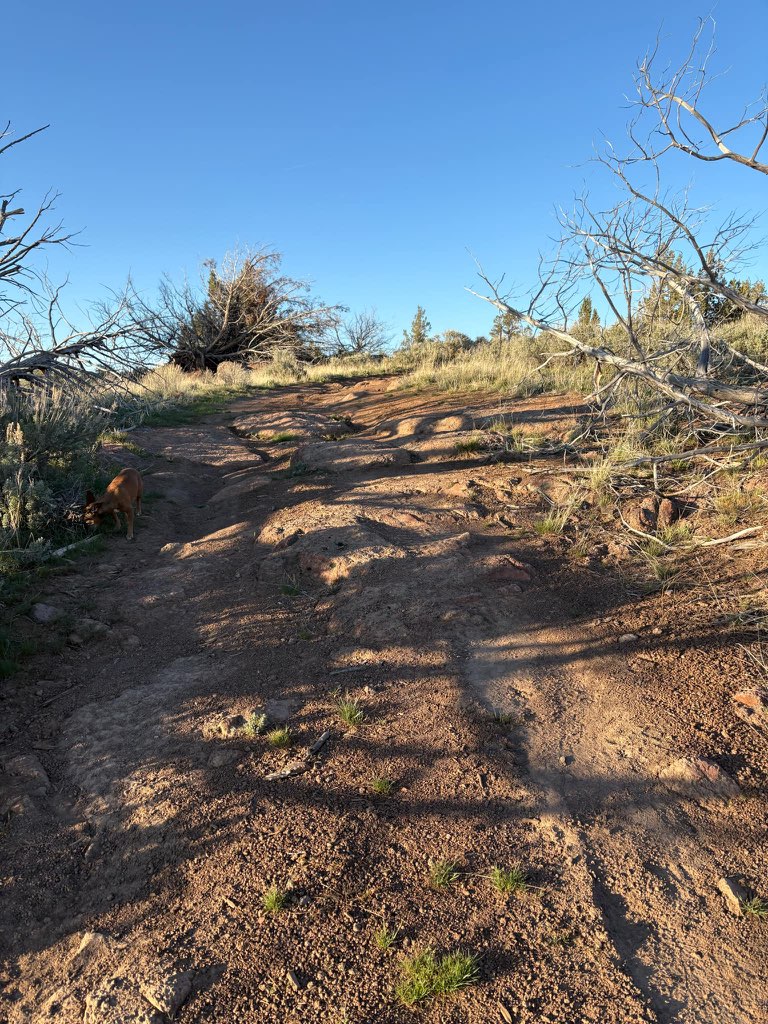 offroad recovery in Idaho