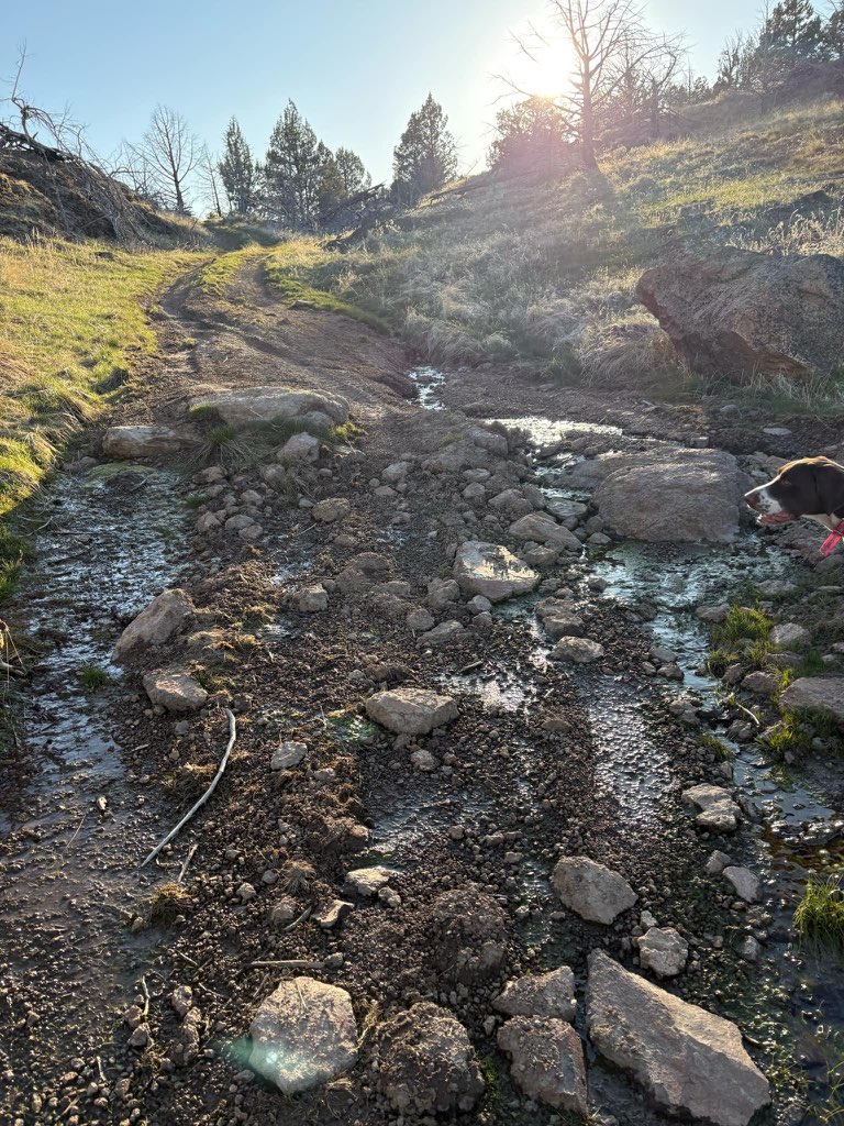 idaho 4x4 rescue