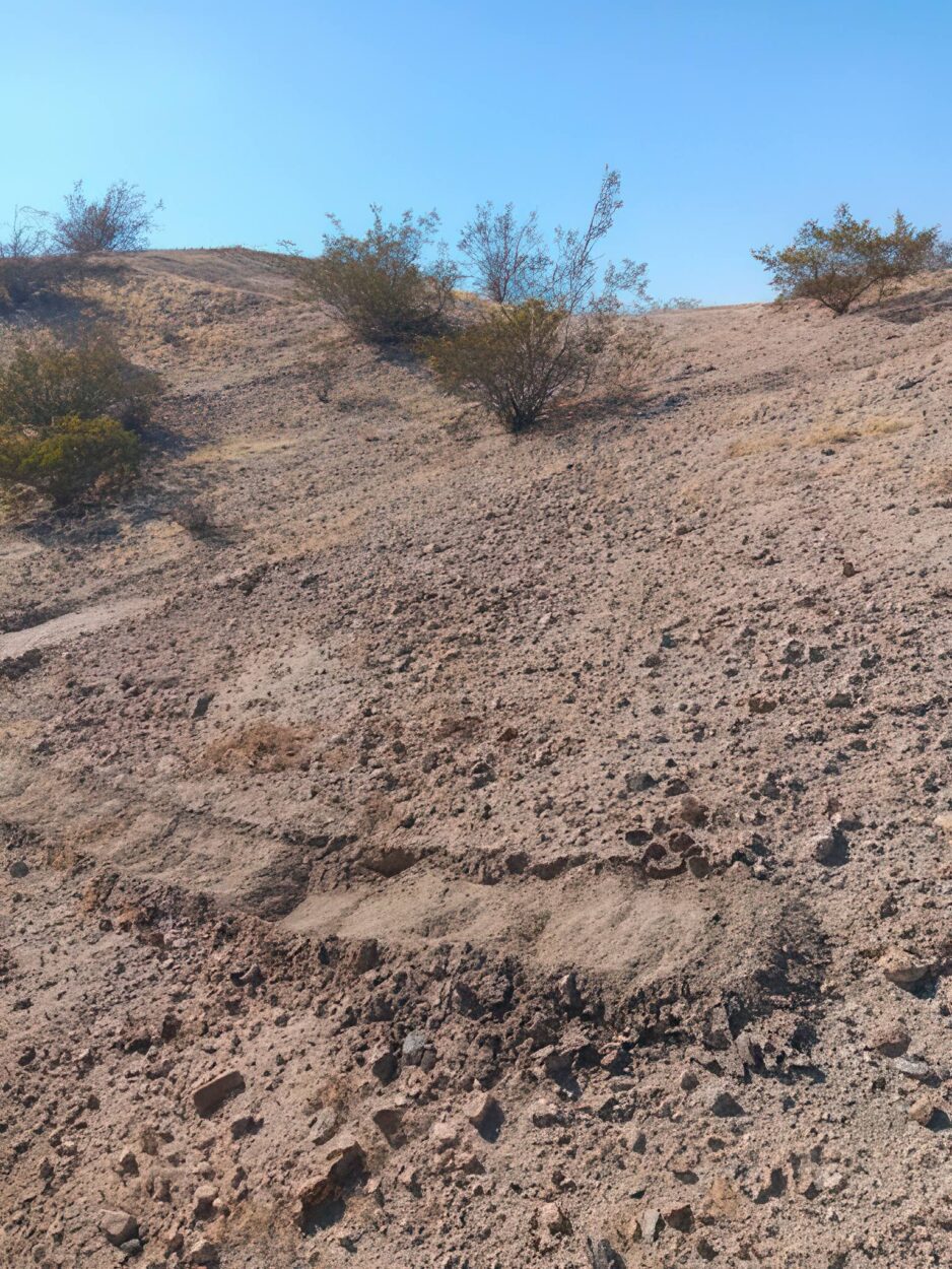 offroad recovery in California