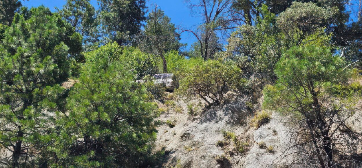 california offroad recovery