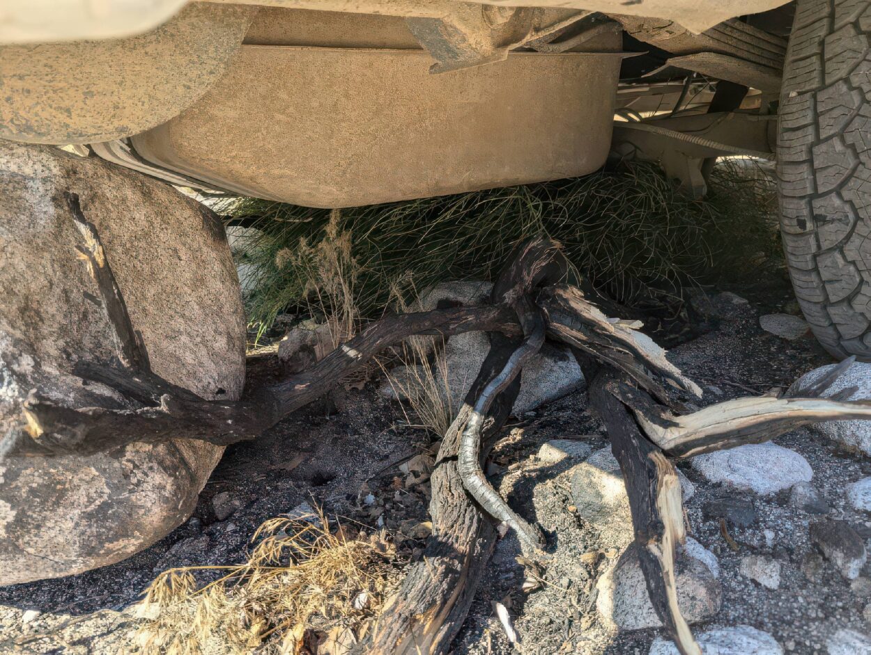 desert recovery