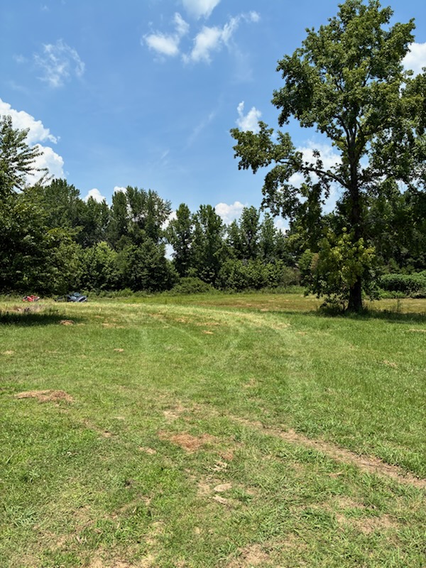 offroad recovery in Alabama