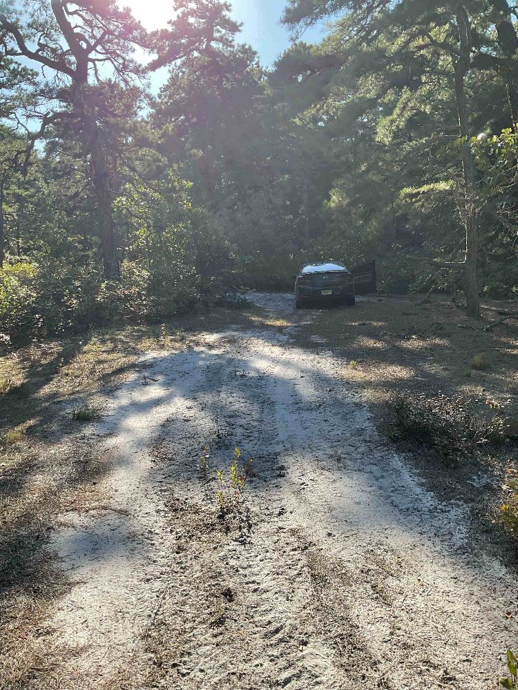 offroad recovery in New Jersey