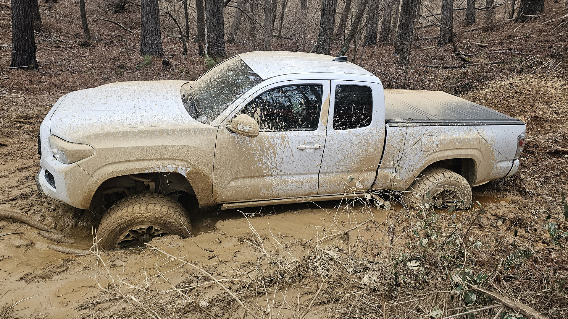 Tacoma 4×4 stuck in mud up to the axles