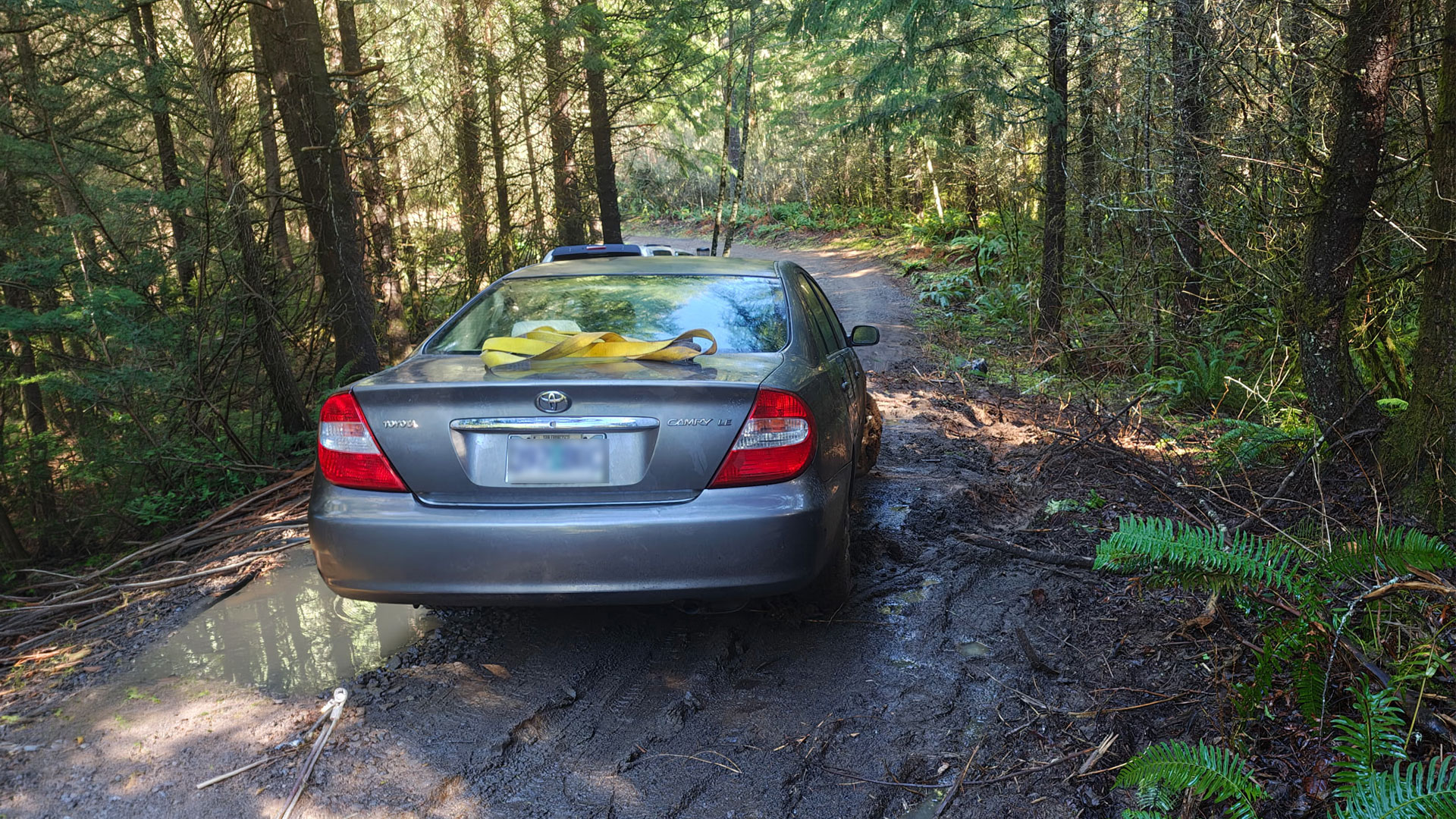 The car slid into a soggy portion of the road