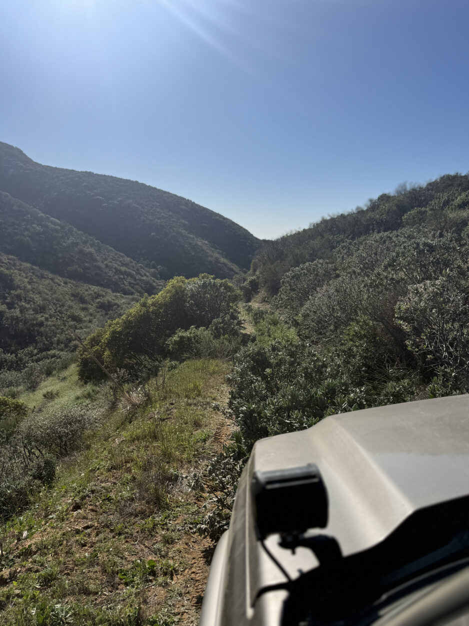 california offroad recovery
