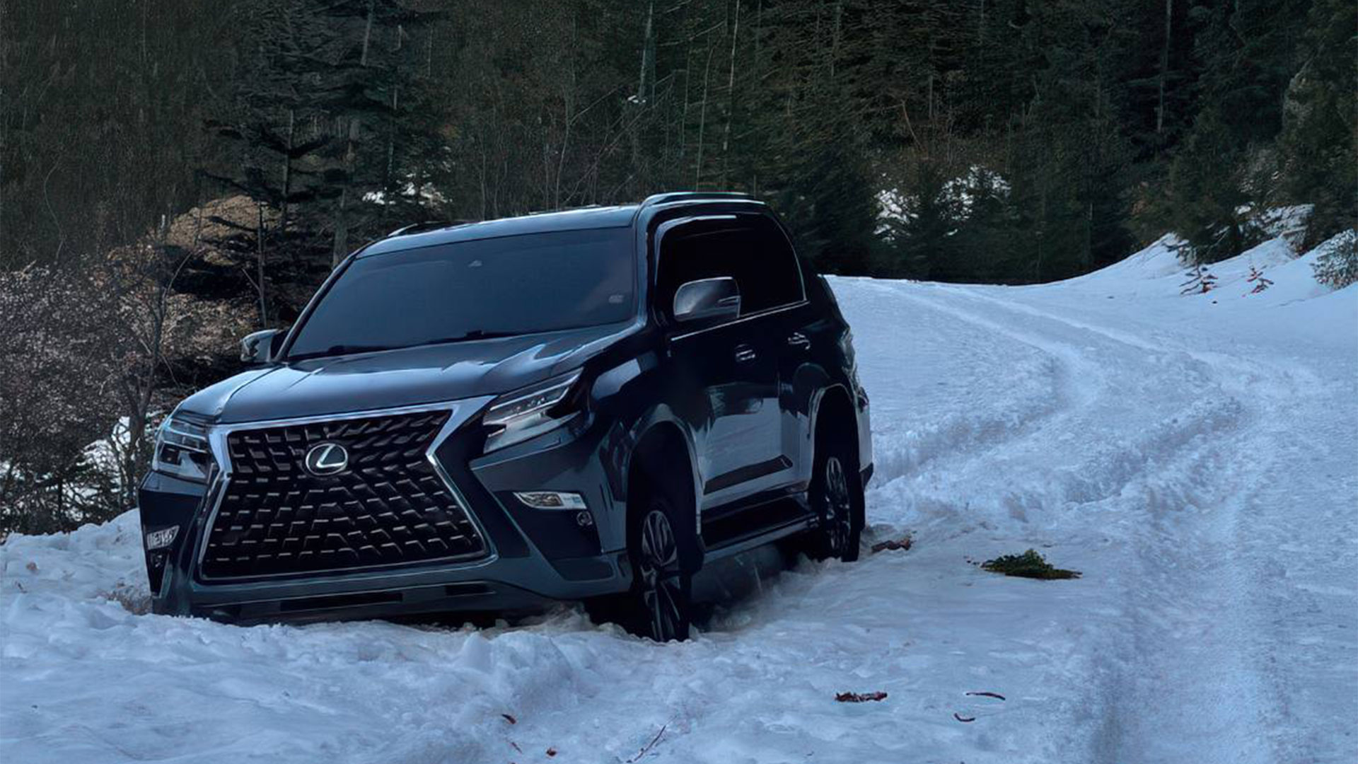 Lexus GX460 stuck