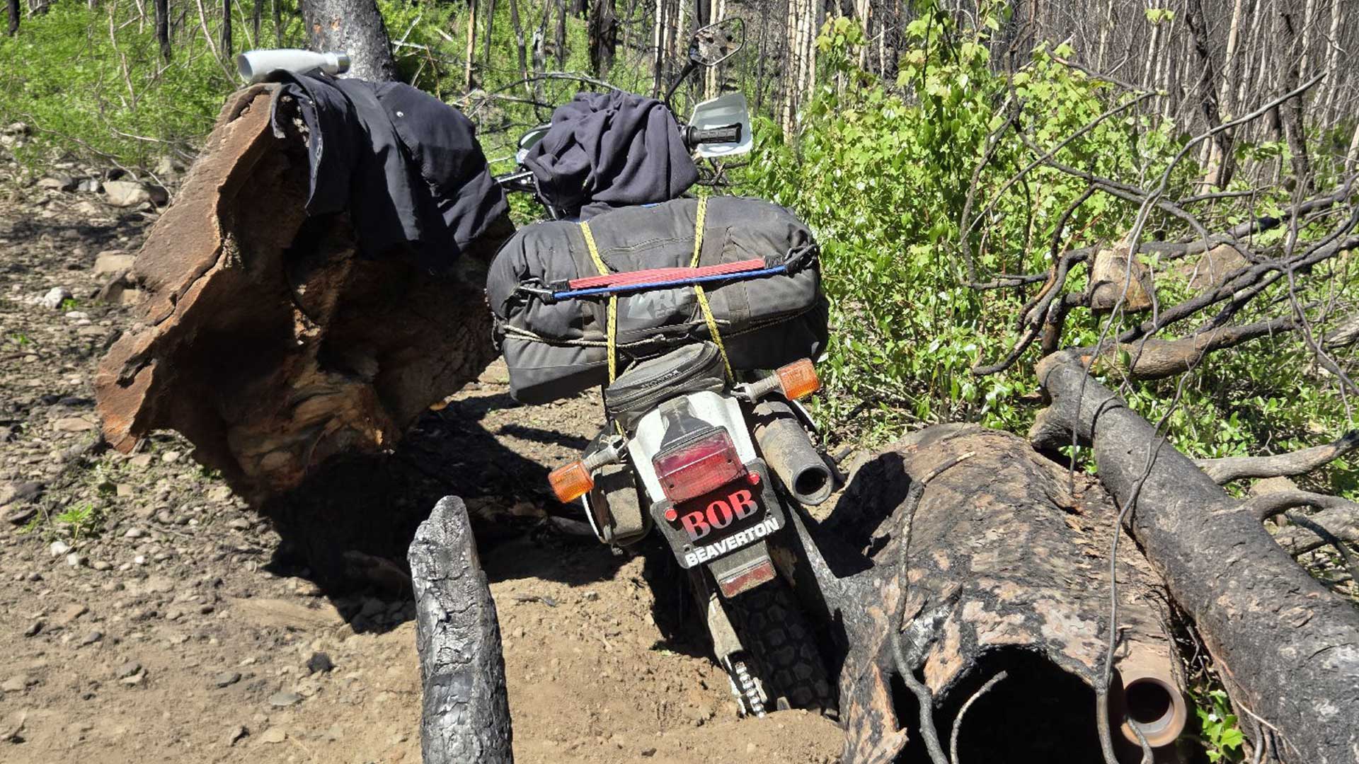 Honda XR650L stuck between 2 logs
