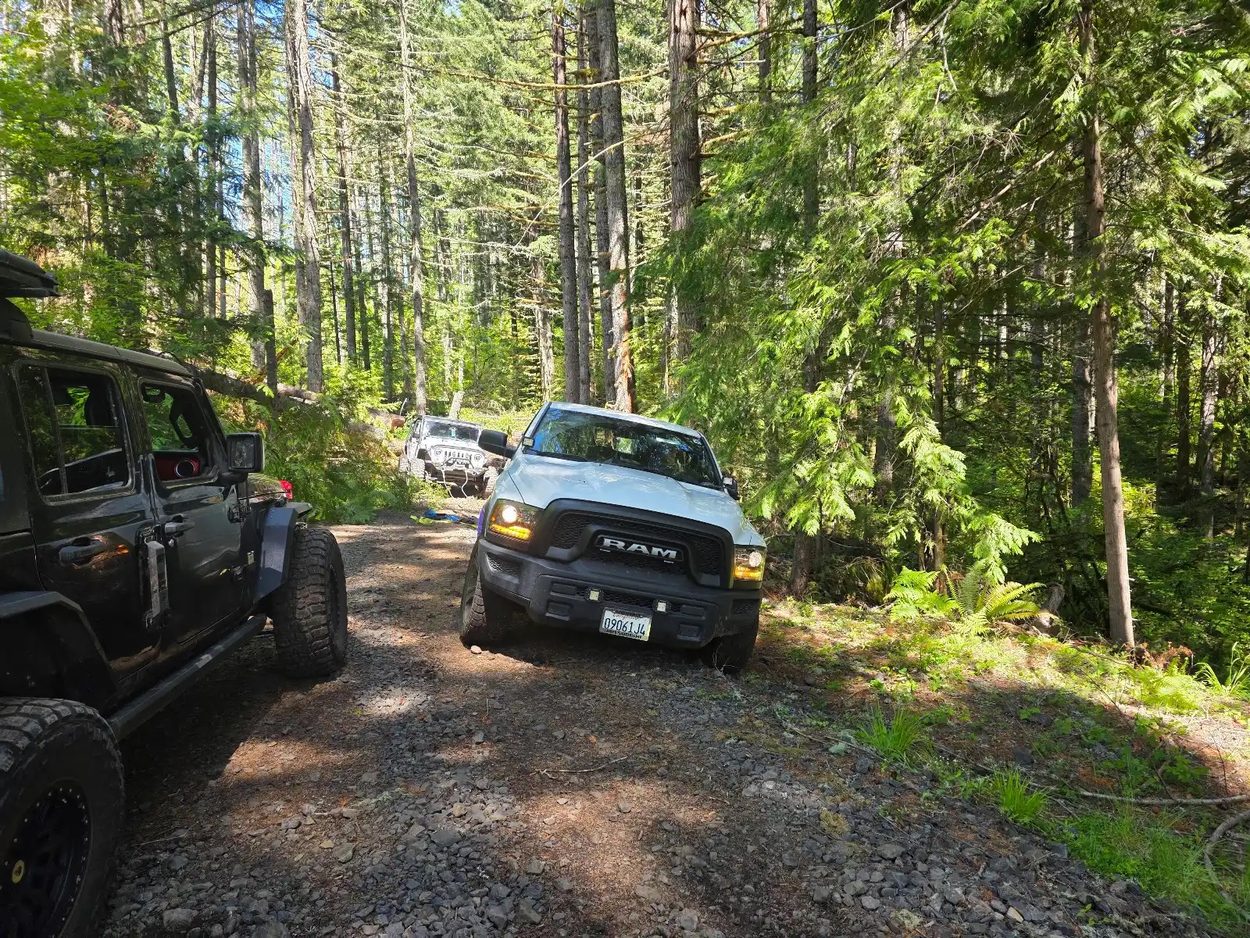 Recovery in Oregon