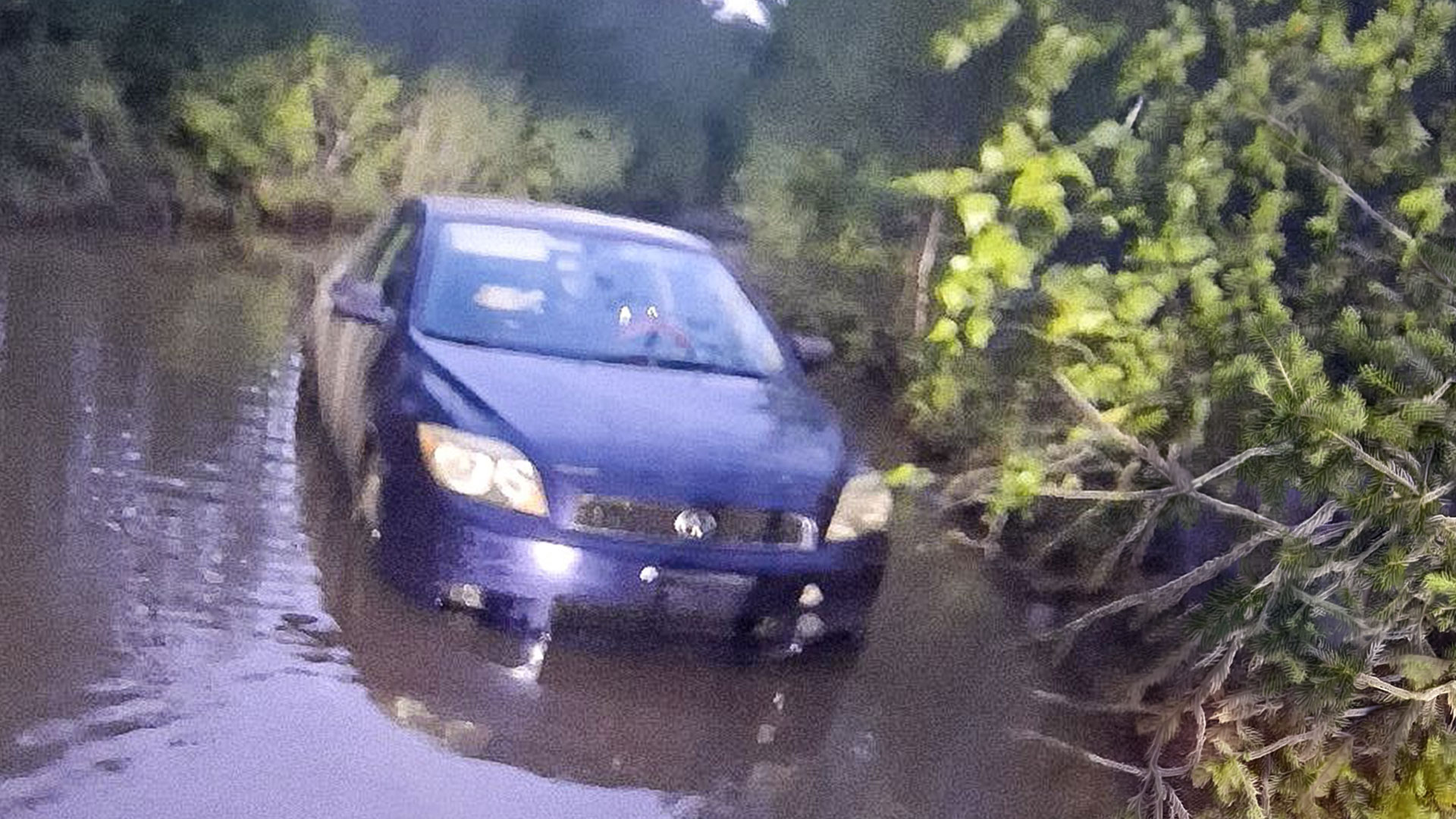 Door dash GPS sent me down this road