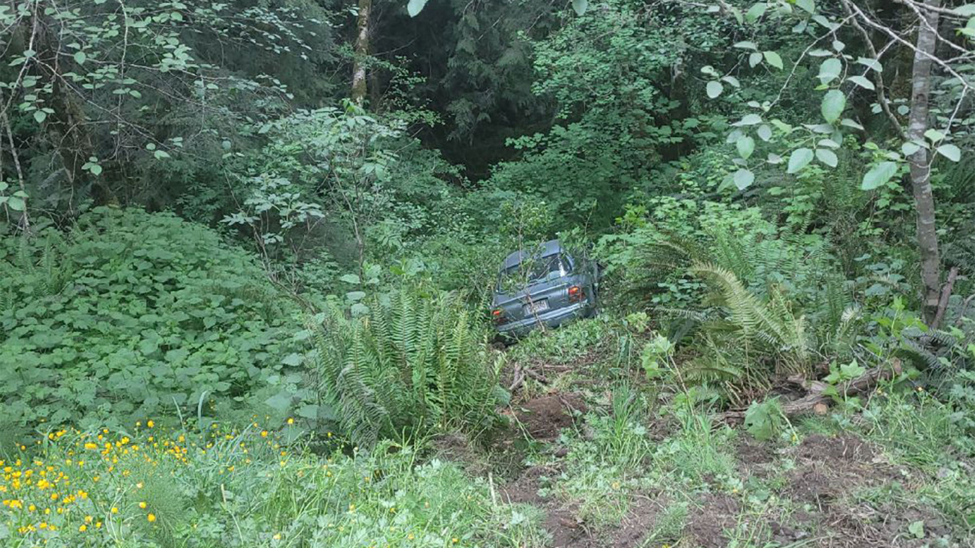 Its down an embankment