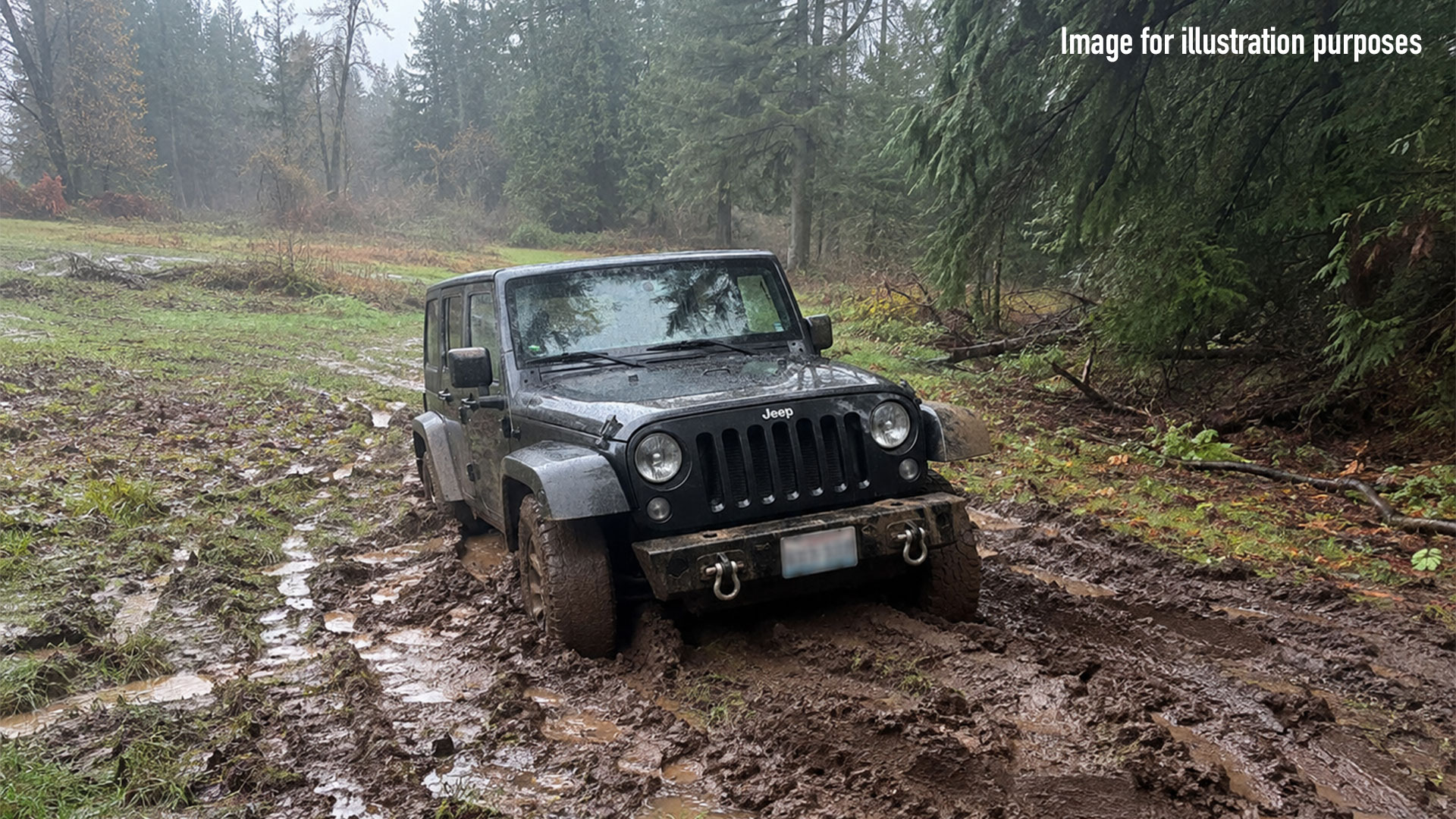 Jeep stuck at bottom of hill in woods